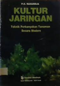 KULTUR JARINGAN