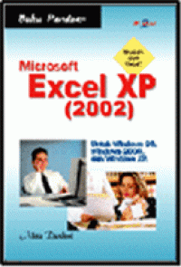 MICROSOFT EXCEL XP 2002